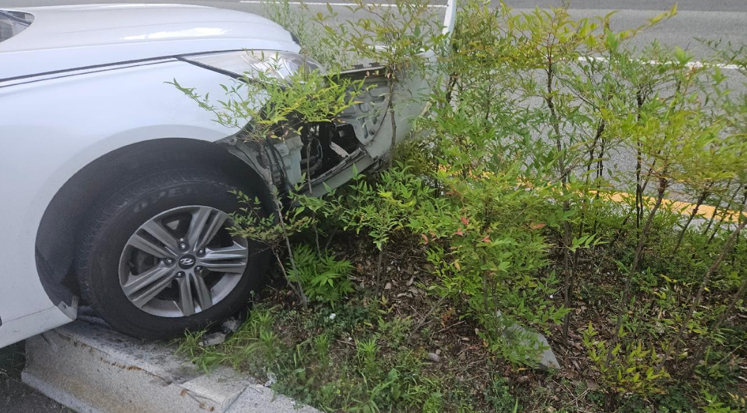 챠량이미지