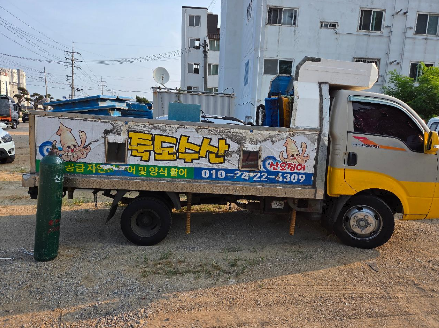 챠량이미지