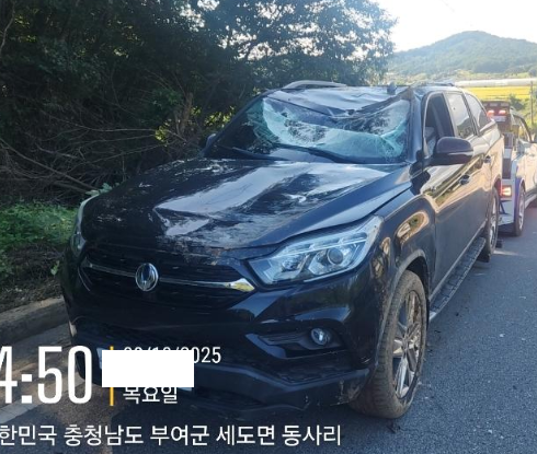 챠량이미지