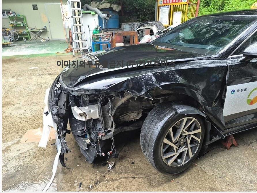 챠량이미지