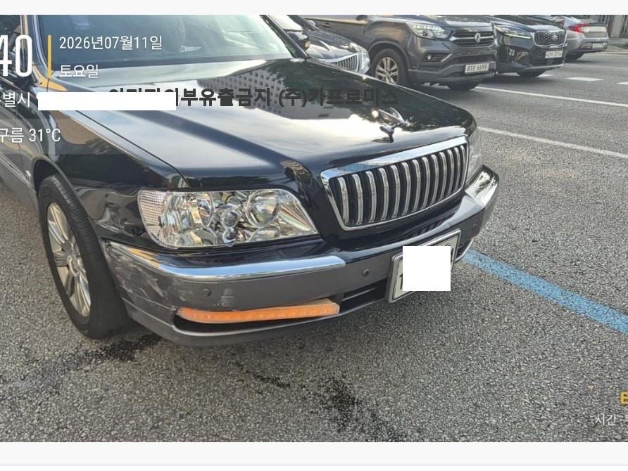 챠량이미지