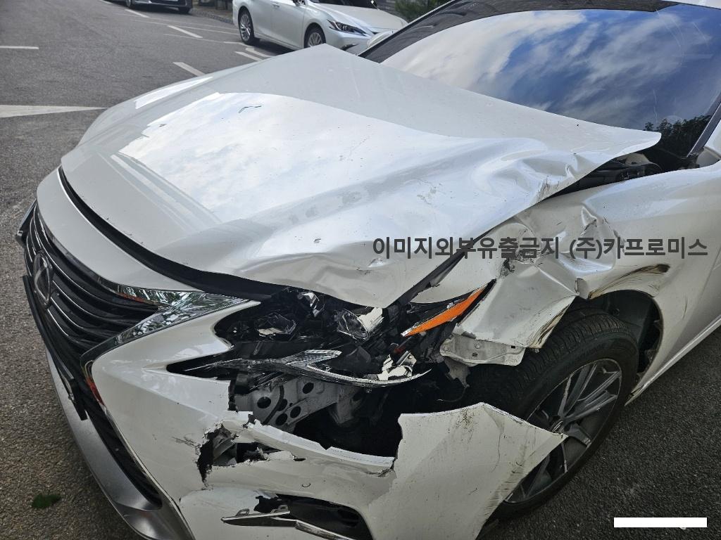 챠량이미지