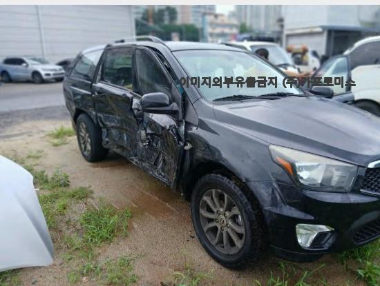 챠량이미지