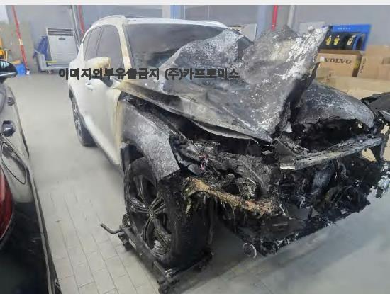 챠량이미지