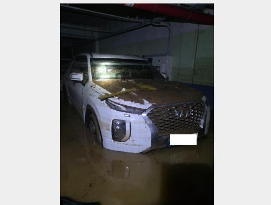 챠량이미지
