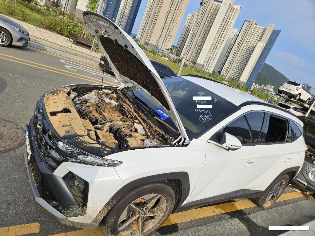 챠량이미지