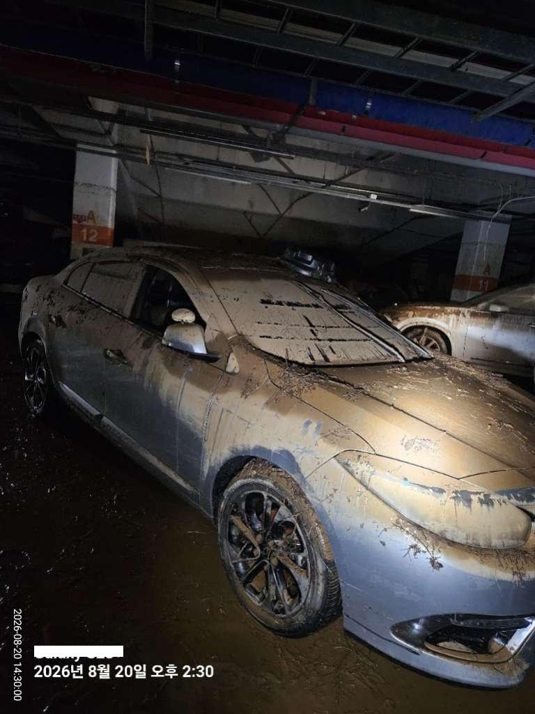 챠량이미지