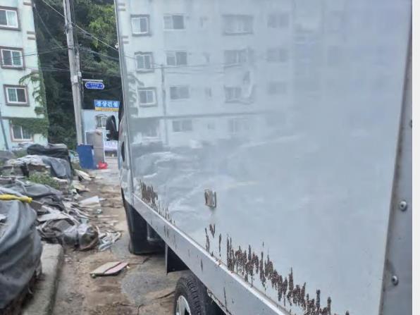 챠량이미지