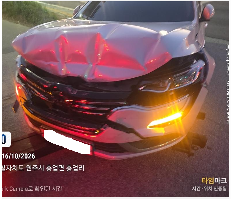 챠량이미지